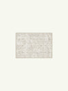 Map Neutral Chenille Rug