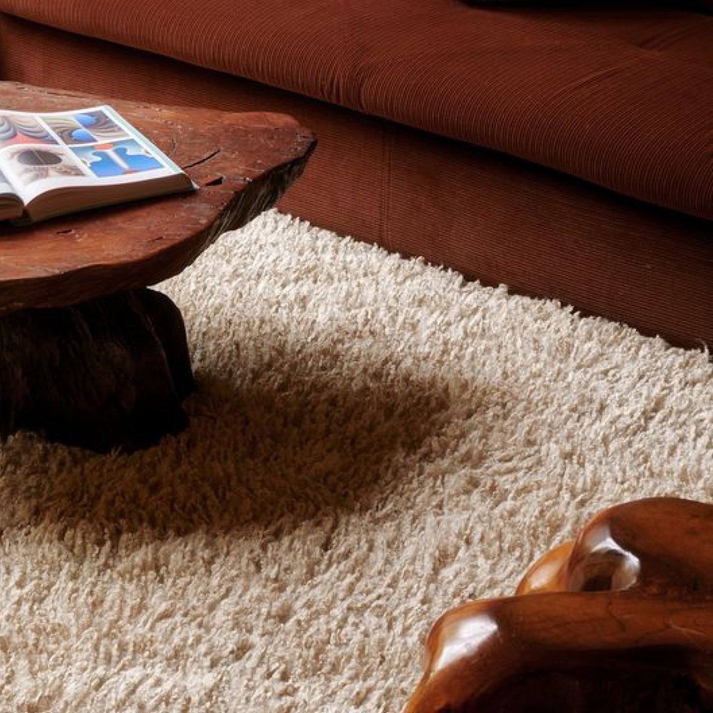 Shag style rug in a living room