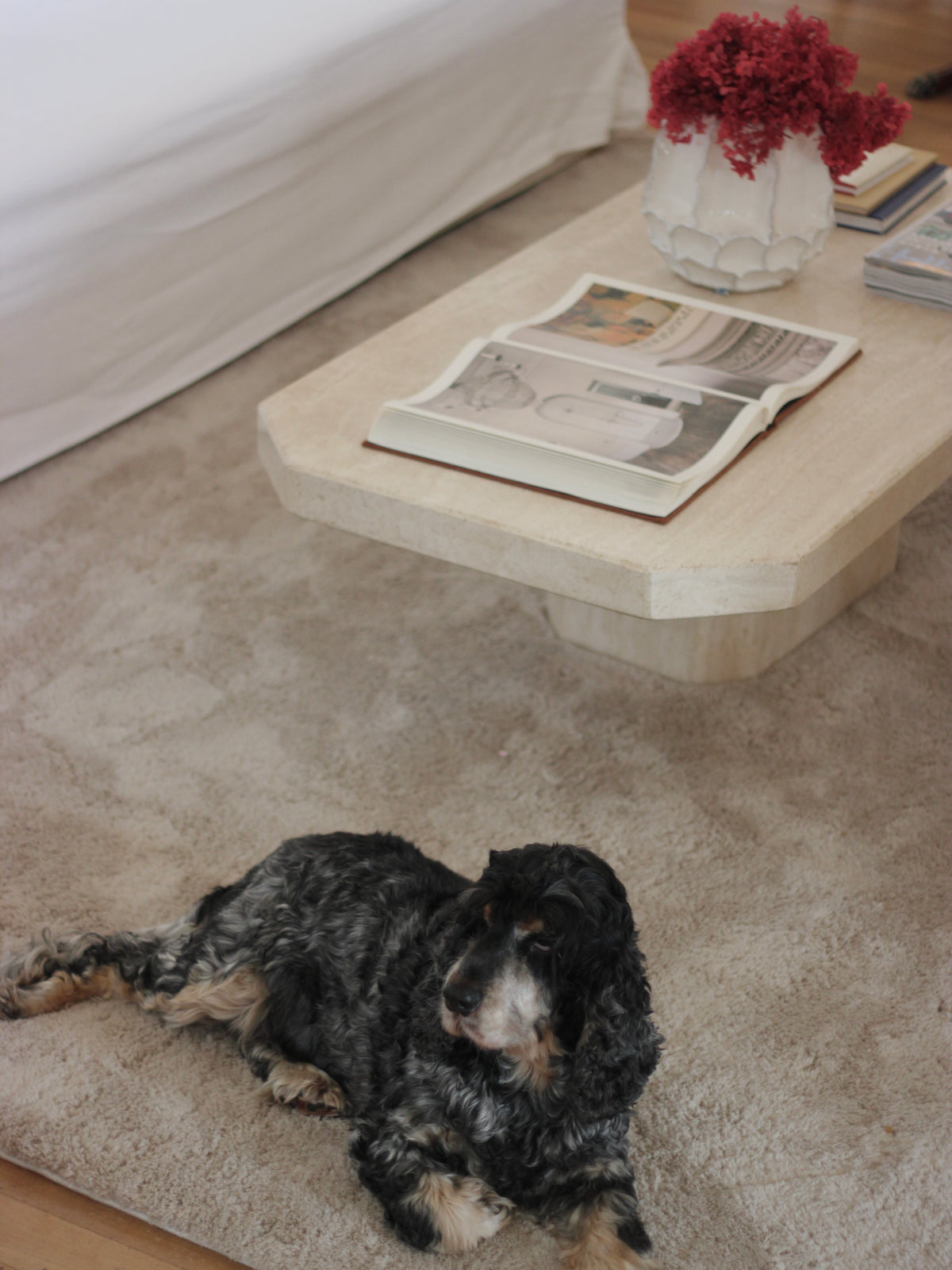 Soothe Bone Vegan Wool Rug