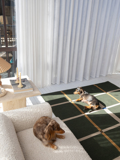 Lucid olive new jute rug