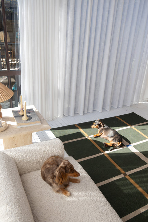 Lucid olive new jute rug