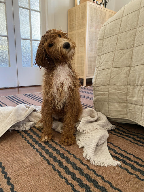 Linen black new jute rug