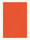 Peace Burnt Orange Vegan Shearling Rug